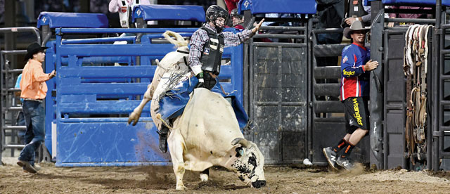 On The Trail with Ky Hamilton