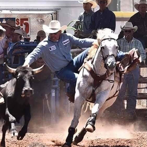Student Gpas And Qualifying For The National Finals Rodeo