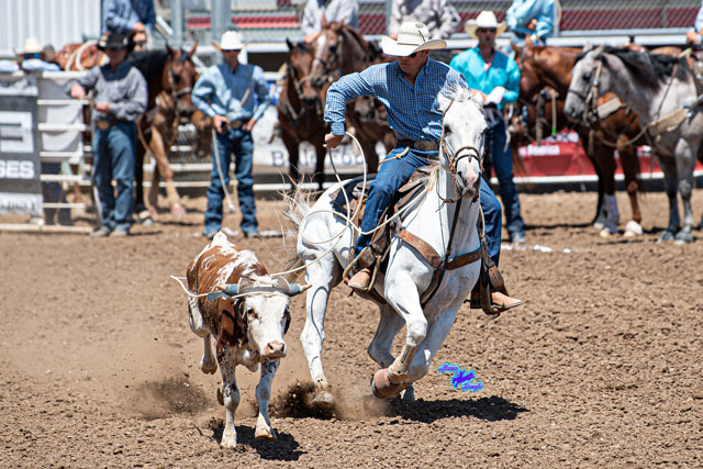 Black Hills Roundup: Belle Fourche, SD