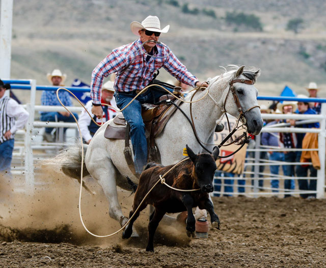 Cody Stampede