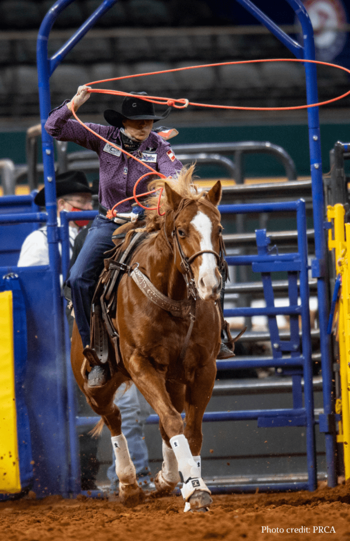 Houston Livestock Show and Rodeo™ announces new Women’s RODEOHOUSTON® Event