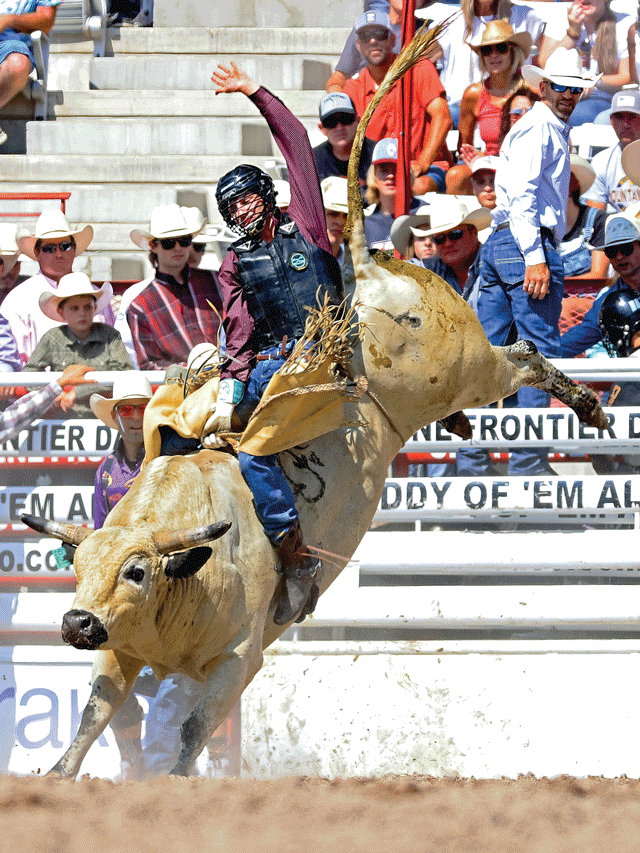 On The Trail with Creek Young