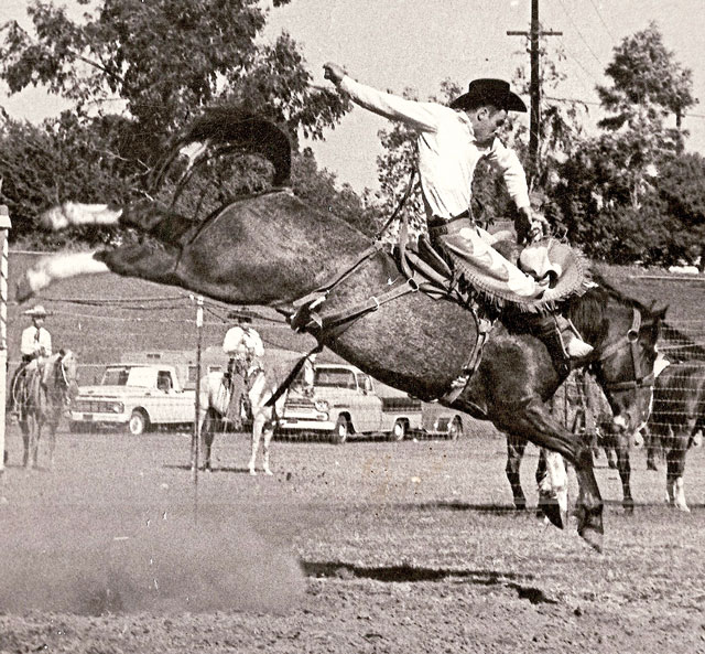 Back When They Bucked with Shawn Davis