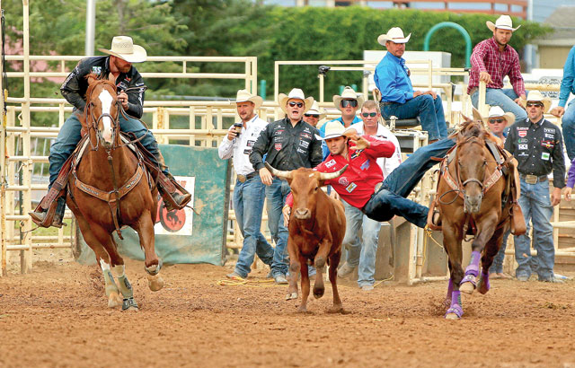 On the Trail with Steer Wrestling 101