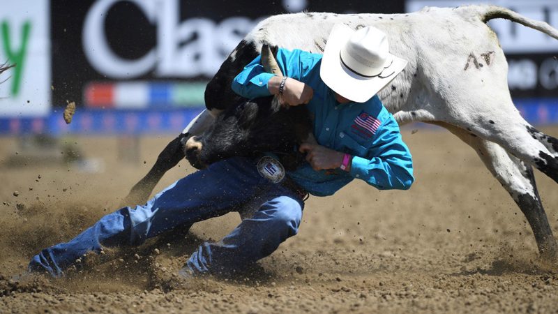 American Hat Presents Daniel Miranda