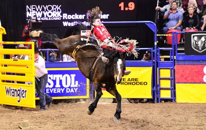 WNFR Through the Lens of Will Reed Jennings