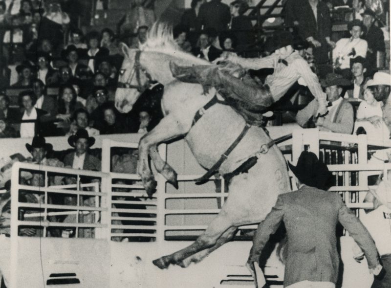 Back When They Bucked with Bill Nelson