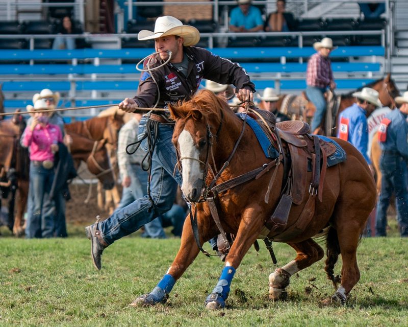 American Hat Presents Haven Meged