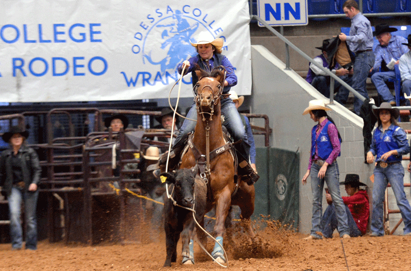 American Hat Presents Baylee Paul