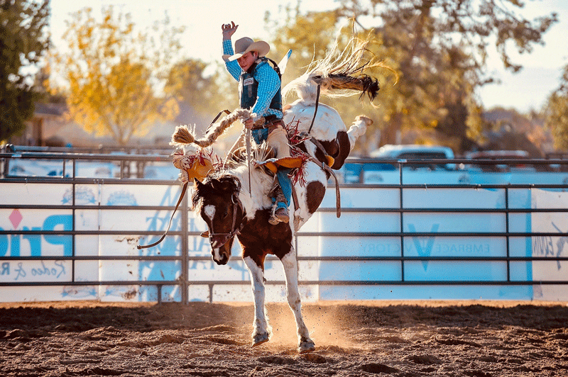 Team Cavender’s Benny Proffitt