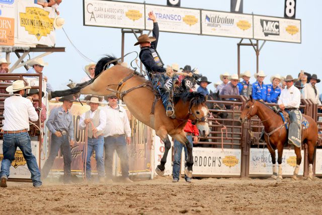 Zeke Thurston captures first Miles City (Mont.) Bucking Horse Sale Xtreme Broncs title