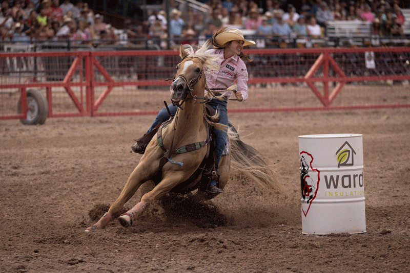 Community Coffee: Hailey Kinsel