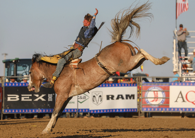 On The Trail with Monte Downare III