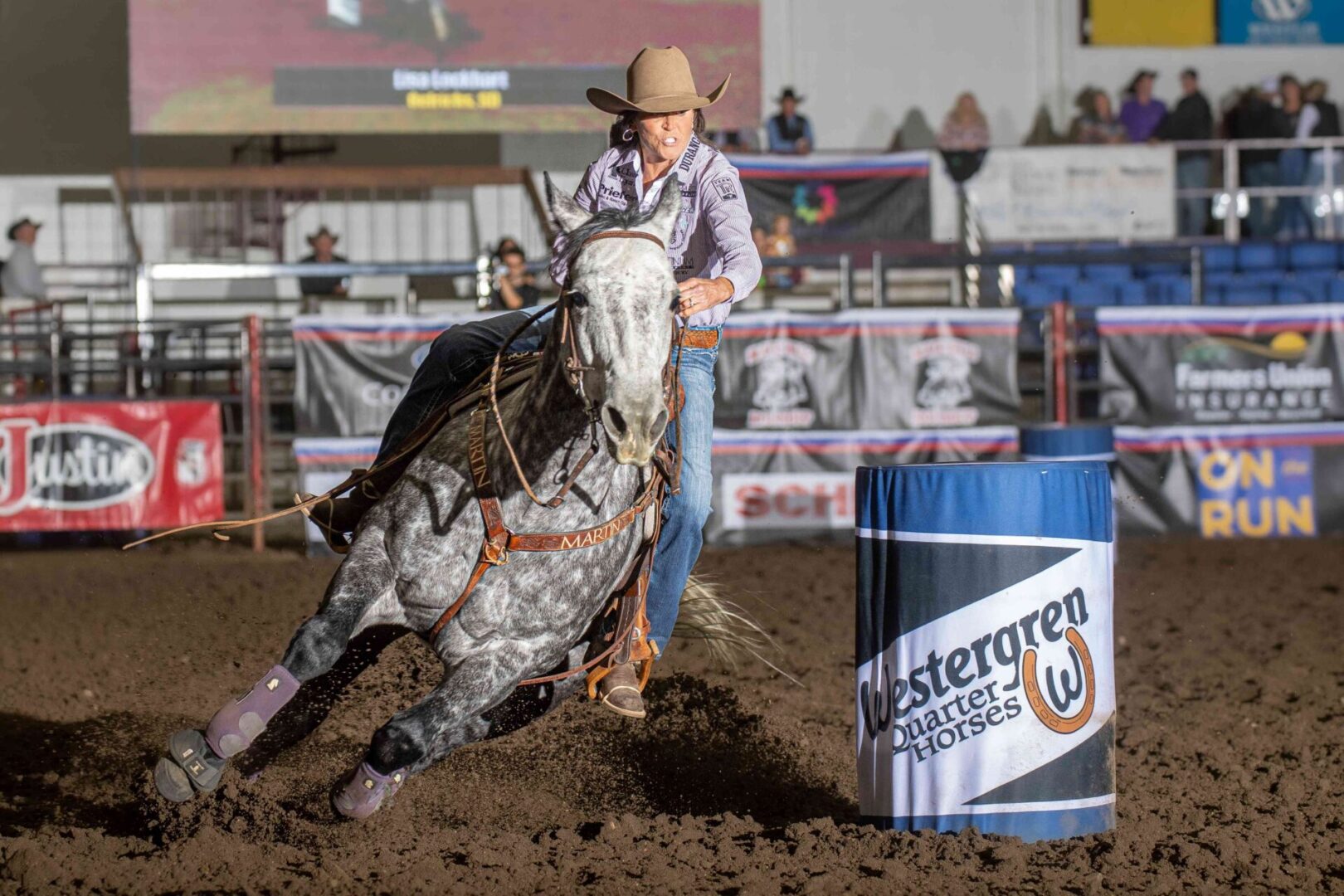 BEST IN THE BADLANDS