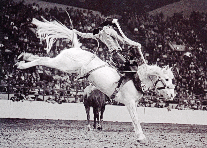 Back When They Bucked with Wally Badgett