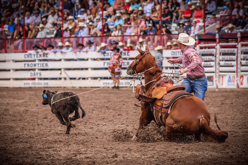 Community Coffee: Riley Webb