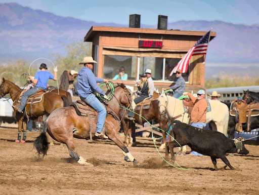 A Shift in Horse Power: Market Trends for this Sale Season