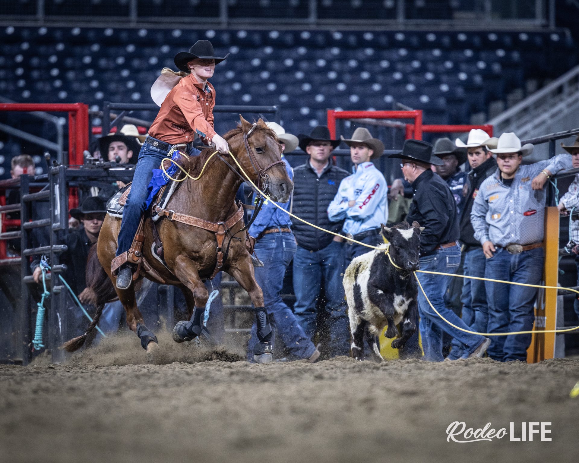 It’s a New Year!!!