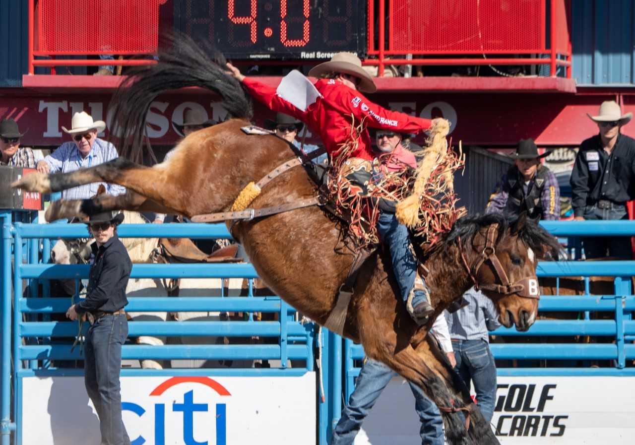 Any Means Possible: Planes, trucks get players from one short round to another